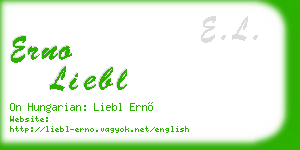 erno liebl business card